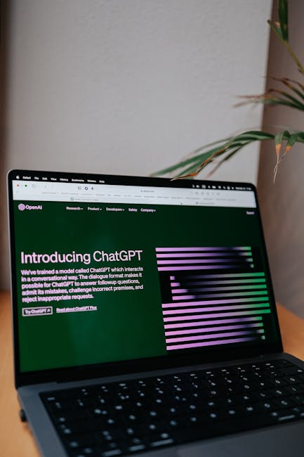 website admin dashboard plugin setup
